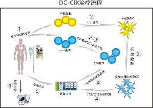 香港内部正版免费资料