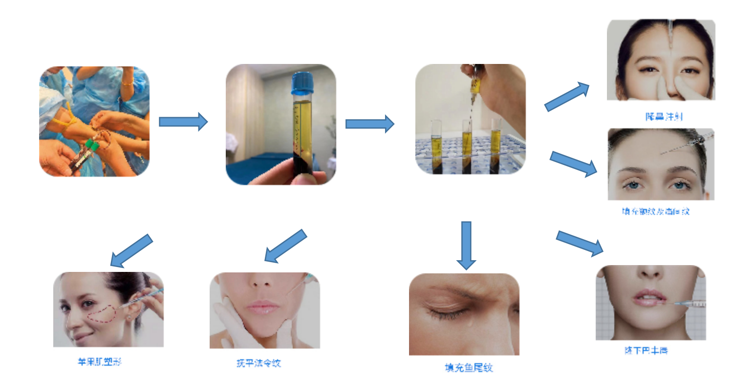 香港内部正版免费资料